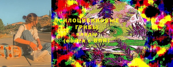 гидропоника Алексеевка