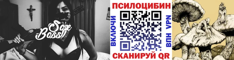 закладка Орехово-Зуево Псилоцибиновые грибы Cubensis